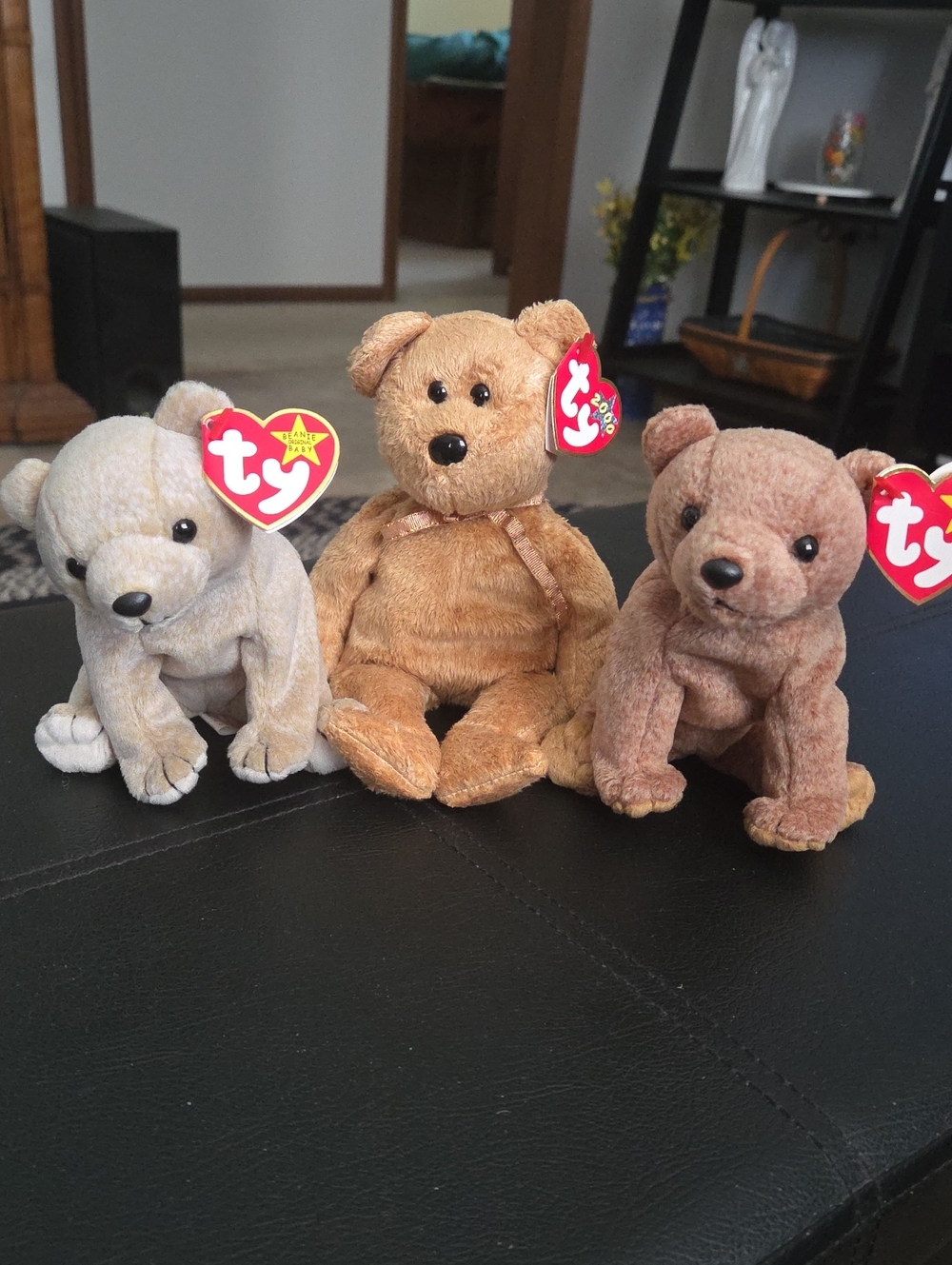 Ty Plush Bear Trio - Almond, Cashew, and Pecan